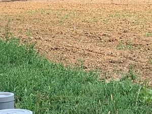 Vente terrain 548 m² à Saint-Père-en-Retz (44320)  102 000 €