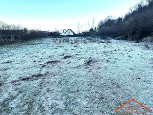 Vente terrain 5728 m² à Arches (88380)  182 000 €