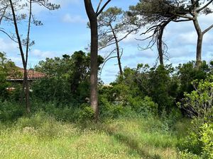 Vente terrain 400 m² à Andernos-les-Bains (33510)  220 000 €