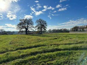 Vente Terrain à Rezé (44400) : à vendre / 430m² Rezé