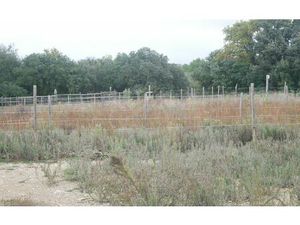 Terrain Castillon-du-Gard m² T- à vendre  12 000 €