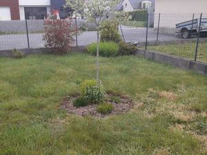 Location Maison à Plumelin (56500) : à louer / 101m² Plumelin