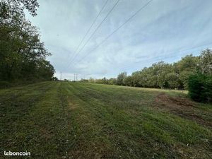 Terrain 10 658 m² Muret