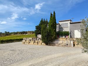 Proche de LIMOUX - Domaine viticole