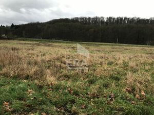 Terrain 0 pièces 13015 m² à vendre / acheter nogent-le-rotrou 28400 ? | ERA Immobilier