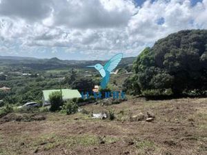 Terrain à vendre françois  Martinique