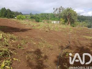 Vente Terrain 370 m²  Réunion