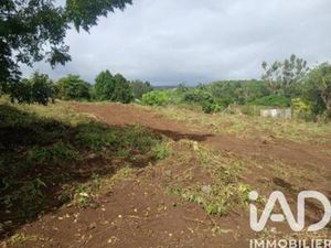 Vente Terrain 440 m²  Réunion