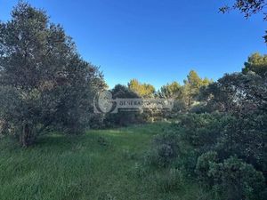 Fontvieille - Terrain inconstructible zone naturelle