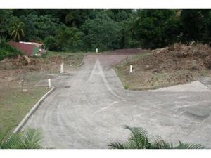 TERRAIN VIABILISE de 603 M2 A VENDRE AU FRANCOIS  Martinique