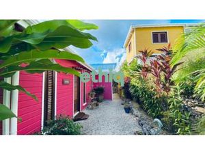 À Vendre Complexe Touristique-Maison F3 + 3 gîtes F2– Sainte  Guadeloupe