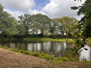 Achat Maison 12 pièces 520m² MARZAN 56130