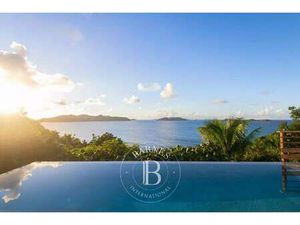 Maison à vendre Saint-Barthélemy Pointe Milou - 8 900 000 €