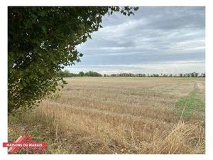 Vente Terrain à Saint-Rémy (79410) : à vendre / Saint-Rémy