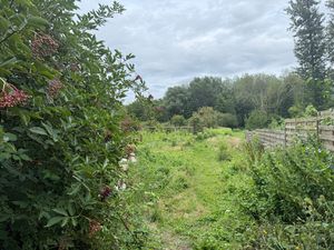 Achat Terrain 3 129m² ORMOY LA RIVIERE 91150