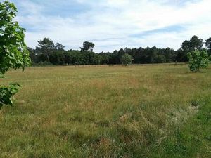 Vente terrain 518 m² Le Barp (33114)