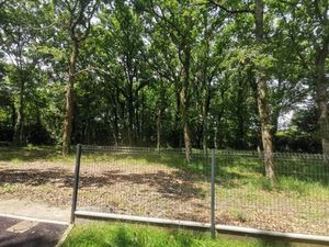 Vente terrain 970 m² Audenge (33980)