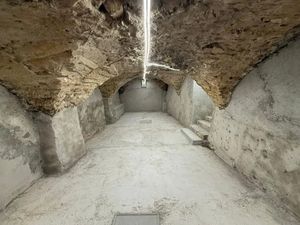 Immobilier Professionnel à louer Cannes