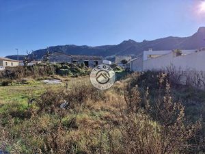 Figari: Terrain à bâtir constructible de 493M²
