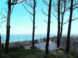 Vente terrain 1300 m² La Teste-de-Buch (33115)