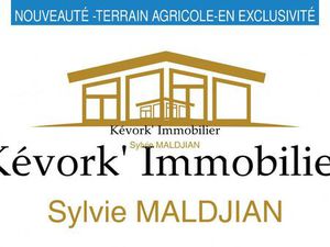 Achat : Terrain (26300)