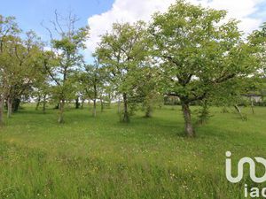 Vente terrain 980 m² Monteaux (41150)