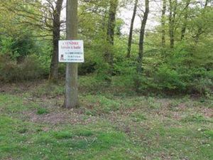 Achat : Terrain (27190)