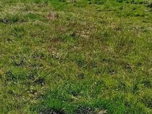 Achat : Maison (27120)