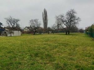 Terrain à bâtir viabilisé - SEGNY (01170)