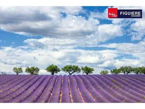 Local commercial à louer