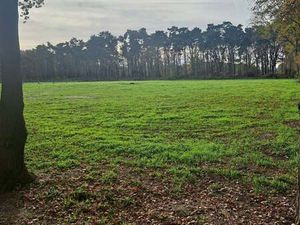 Terrain à vendre à Gruitrode € 18.500 (LHS18) - COEMANS & COLAERS | Zimmo