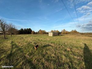 Beau terrain pour pâturage ou loisir