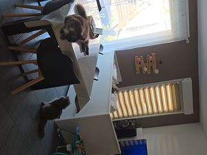 Maison a vendre wattrelos 3 chambres récente