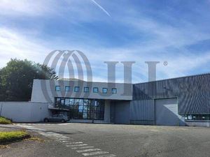 Local d'activités à louer