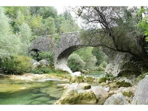 TERRAIN NON CONSTRUCTIBLE - FORET / CHASSE- SECTEUR PONT DE MONS / SIAGNE (ZONE N)