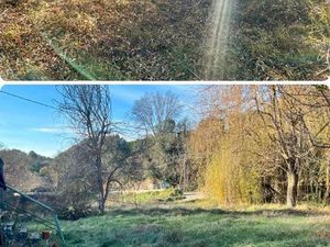 Terrain avec cabanon