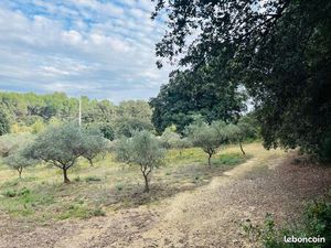 Terrain constructible