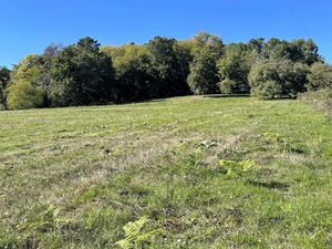 Vente terrain 2100 m² à Villamblard (24140)  18 000 €