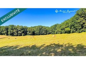 Vente terrain 4986 m² à Limeuil (24510)  60 000 €