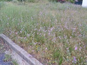 Vente terrain 300 m² à Maureillas-las-Illas (66480)  99 000 €