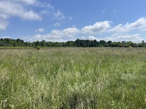 Vente terrain à Bazas (33430)  113 500 €