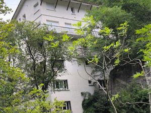 Studio dans la flore du haut VALLESPIR