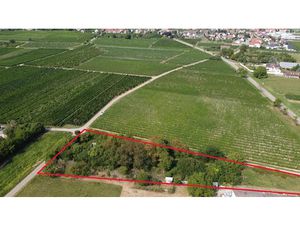 Vente terrain à batir 3310 m² à Bergheim (68750)  157 450 €