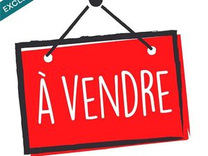 Vente locaux professionnels 240 m² à Le Bernard (85560)  326 000 €