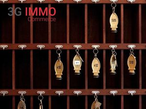 Vente locaux professionnels à Le Puy-en-Velay (43000)  482 000 €