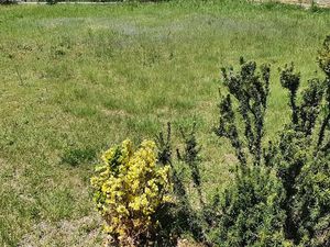 Vente terrain 1022 m² à Baho (66540)  175 000 €