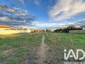 Vente terrain 1000 m² à Pollestres (66450)  300 000 €