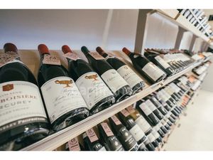 Vente locaux professionnels 100 m² à La Plagne (73210)  205 000 €