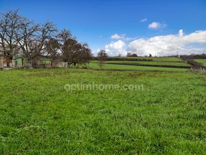 Terrain à vendre de 3000 m² à ESPINASSE VOZELLE (03)