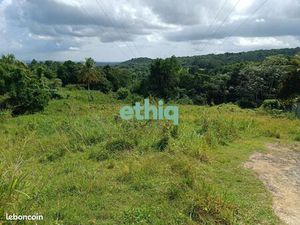 Terrain 1 012 m² Sainte Rose